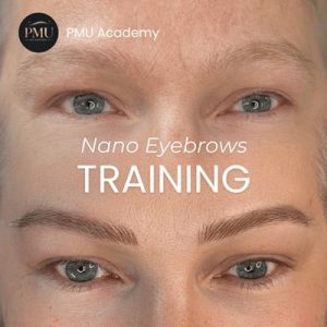 Nano and Powdered Ombre Eyebrows Training