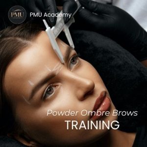 Powder Ombre Eyebrows Training